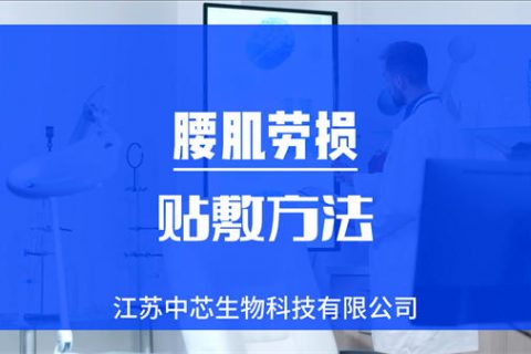 腰肌劳损贴敷操作视频