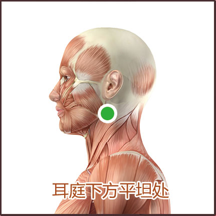 扁桃体炎和咽炎贴敷位置示意图