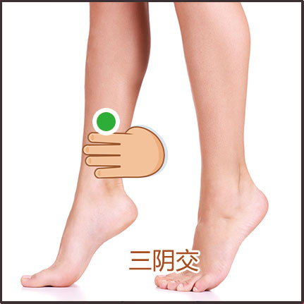 肾阳虚、虚寒体质贴敷位置示意图