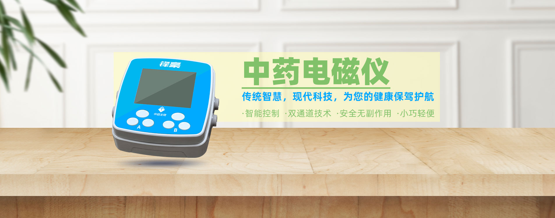 中药电磁仪